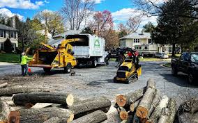 Best Lawn Drainage Solutions  in Dresden, TN