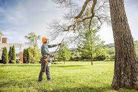 Best Soil Testing and Treatment  in Dresden, TN